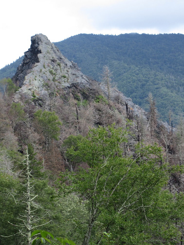 GSMNP to reopen most of Chimney Tops Trail